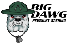 Big Dawg Pressure Washing - Logo